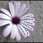 Como saber si le gustas, ¡Lánzate! 34 me quiere o no me quiere