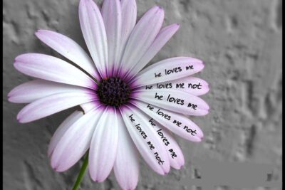 Como saber si le gustas, ¡Lánzate! 24 me quiere o no me quiere