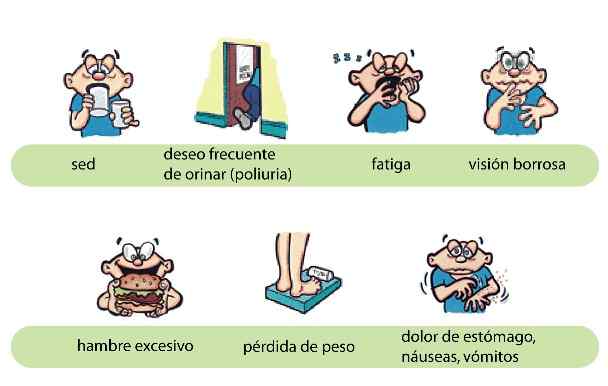 Pasos para prevenir la diabetes 7 sintomas de la diabetes