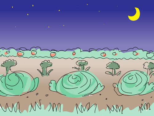 ¿Cómo ahorrar agua en casa? 25 consejos para ahorrar agua regando las plantas