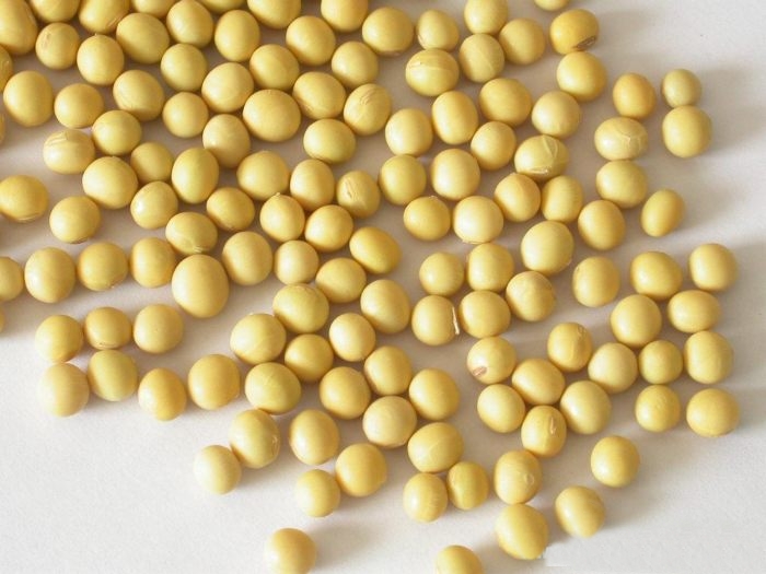 ¿Proteína de soja o de suero? 9 proteina de soja