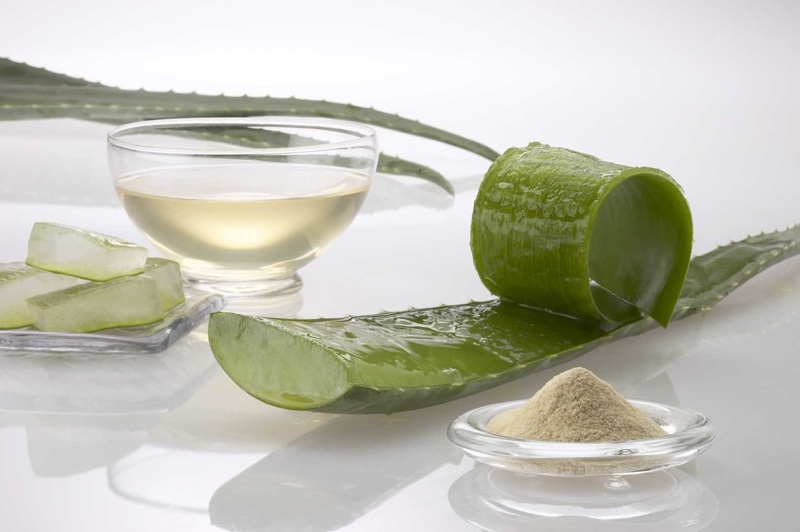 Remedios caseros para las espinillas en la cara 9 aloe vera para la piel