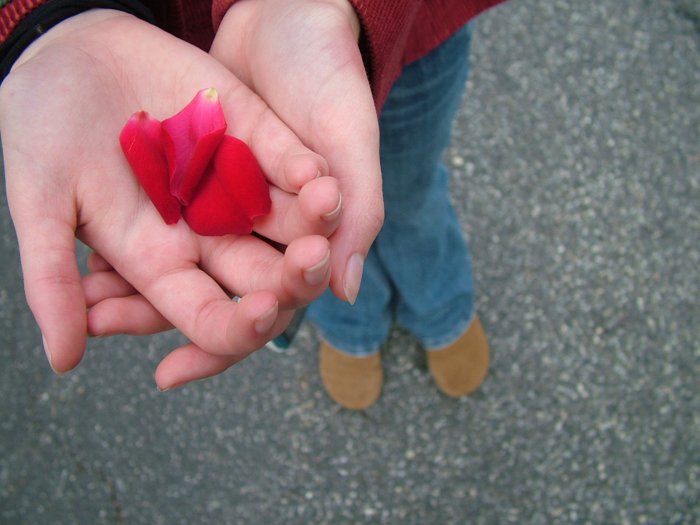 como hacer unas cartas de amor para mi novio como hacer unas cartas de amor para mi novio